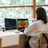 Black Friday Sale--B13-- World's First 13.3" Color ePaper Monitor-Single Screen