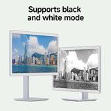 Bigme B251 PRO 25.3" Color E Ink Monitor – Up to 60FPS