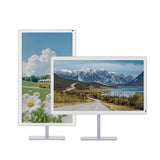 Bigme B251 PRO 25.3" Color E Ink Monitor – Up to 60FPS