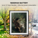 Bigme F13 13.3" Smart ePaper Digital Picture Frame – Spectra 6 Color Display
