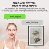 Bigme F13 13.3" Smart ePaper Digital Picture Frame – Spectra 6 Color Display