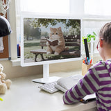 Bigme B251 PRO 25.3" Color E Ink Monitor – Up to 60FPS